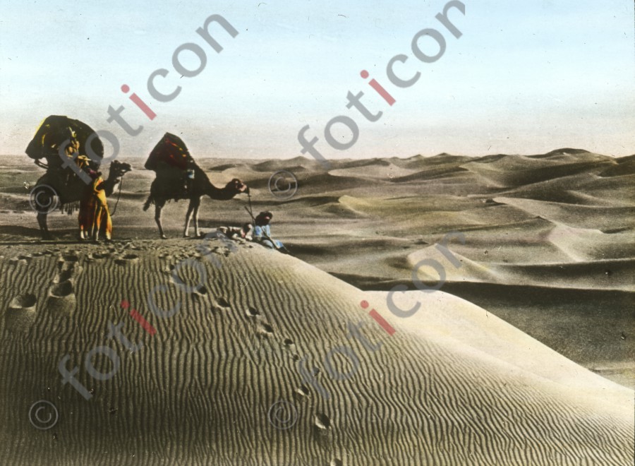 Wüstenlandschaft | Desert landscape - Foto foticon-simon-008-028.jpg | foticon.de - Bilddatenbank für Motive aus Geschichte und Kultur